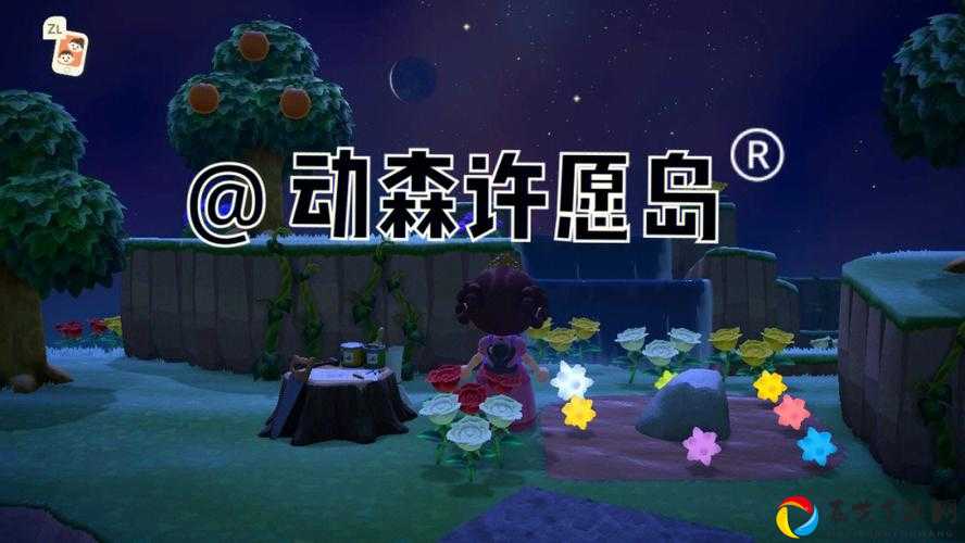 集合啦动森许愿岛速刷攻略！手把手教你获取限定家具+隐藏彩蛋