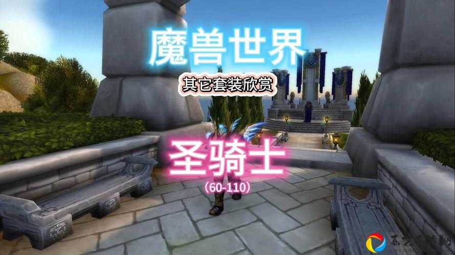 圣殿骑士到底强不强？实战效果看完直接肝起来！