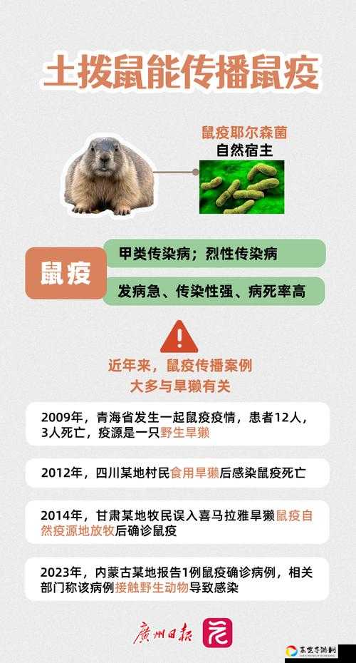 鼠疫鼠王来了！瘟疫之源宇宙皮肤绝美解析｜老鼠宇宙系列皮肤细节暴击