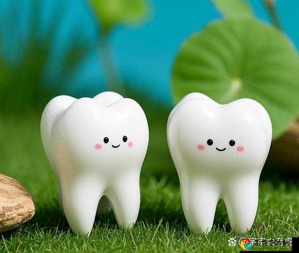 盗贼之海必看！狭窄岩石通道位置大揭秘，救星就藏在这里！