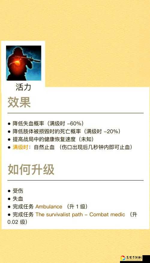 通关必备！逃离塔科夫海关钥匙全解析，手残党也能秒摸到宝藏！