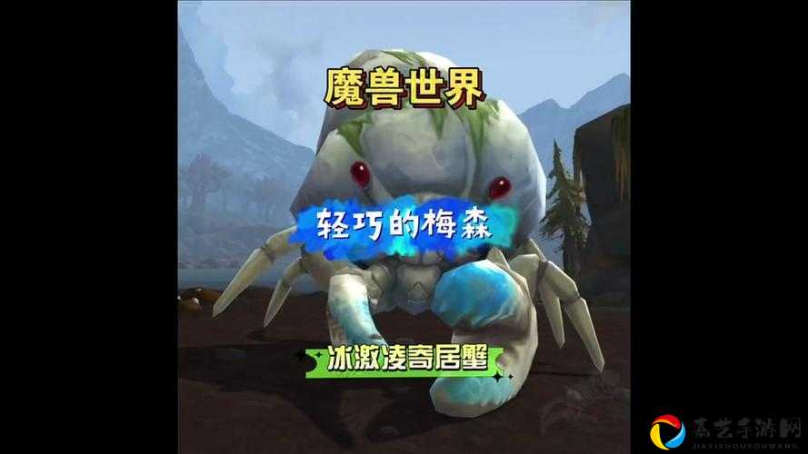 爆肝整理！魔兽世界90猎人必驯翔龙清单 超全收集指南速存！