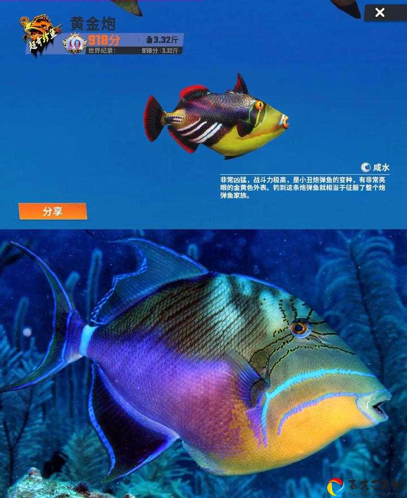 动物餐厅钓鱼玩法攻略！新手必看的爆鱼技巧和隐藏鱼点大揭秘