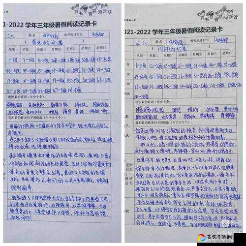 暑假作业第十二关卡关怎么办？手把手教你速通技巧！