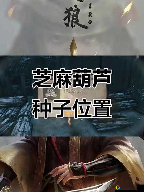 只狼葫芦种子绝了！3分钟教你找种子+解锁隐藏战灰攻略！