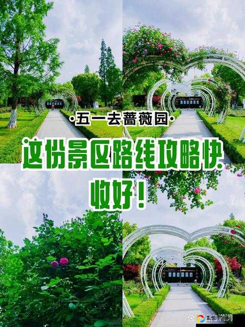 尖叫预警！水晶花园兑换小泡芙到底要多少蔷薇？手残党速看攻略