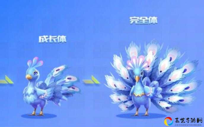 QQ飞车手游孔雀明王套装必看攻略！3天速拿全套的绝密技巧