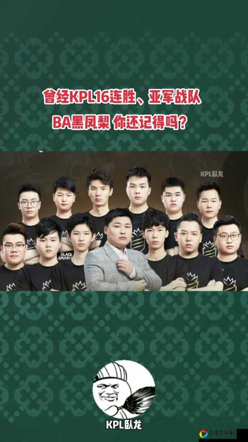 BA黑凤梨2018秋季赛逆天纪录！22连胜刷屏全网，这个答案太震撼了