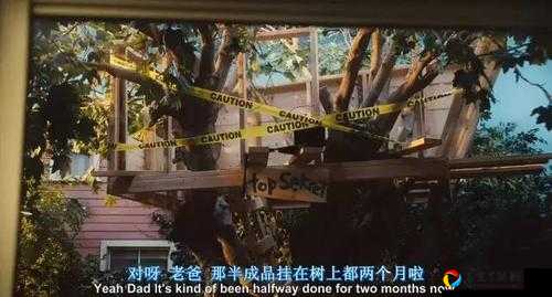 姨夫的姐姐的堂弟的表格爸爸谜题！脑洞游戏第3关终极破解攻略