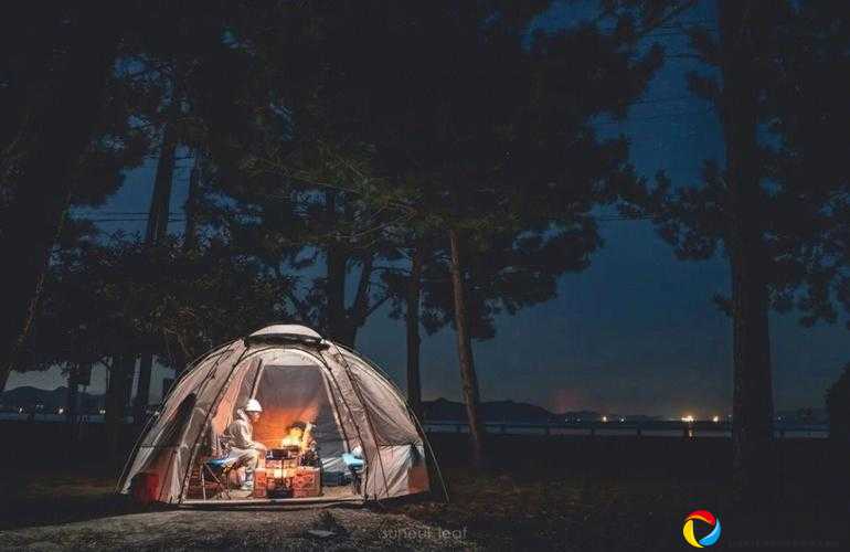 必蹲！堡垒之夜木材帐篷5个绝密刷新点，秒攒资源就这么玩！