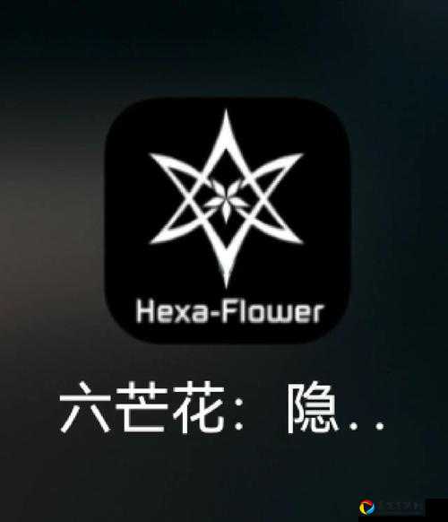 六芒花隐秘潜入游戏密码答案大公开！手慢无的绝密通关代码来了