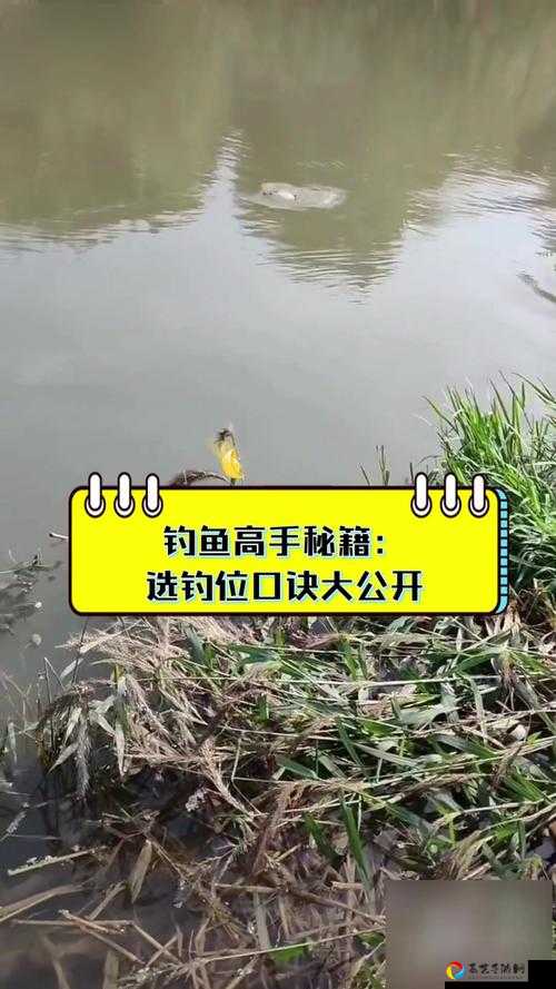 灵能钓鱼隐藏技巧大公开！新手秒变钓鱼高手的5个必学秘籍