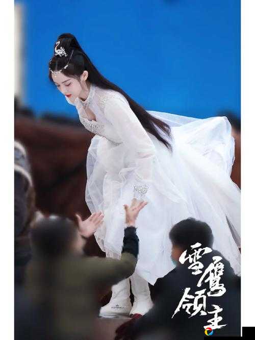 雪鹰领主元初之主答案终极揭秘！看完直接跪了！