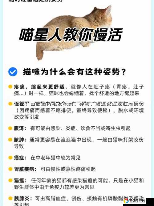 喵与筑体力暴毙血泪总结！5招逆天恢复法让你轻松刷爆资源