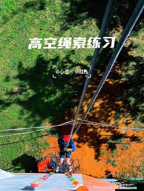 绳索救援第14关必看！怒肝3小时整理保姆级通关秘籍