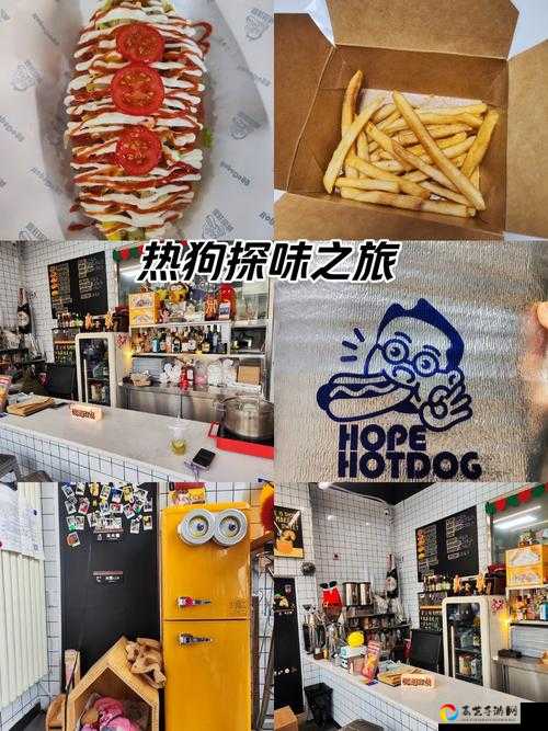 寻找热狗大作战第20关卡关必看！全网最细通关攻略+隐藏热狗位置揭秘
